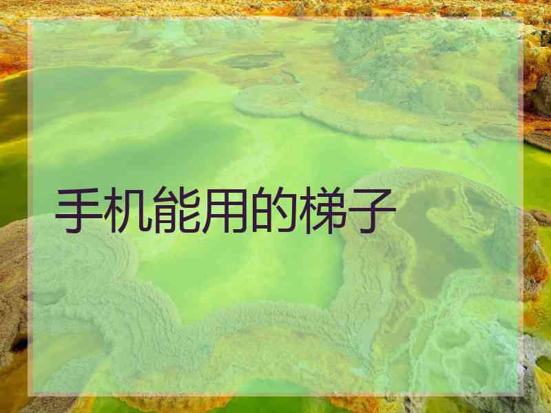 手机能用的梯子