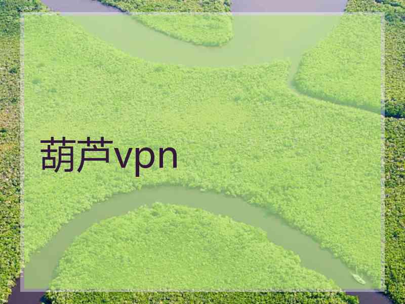 葫芦vpn