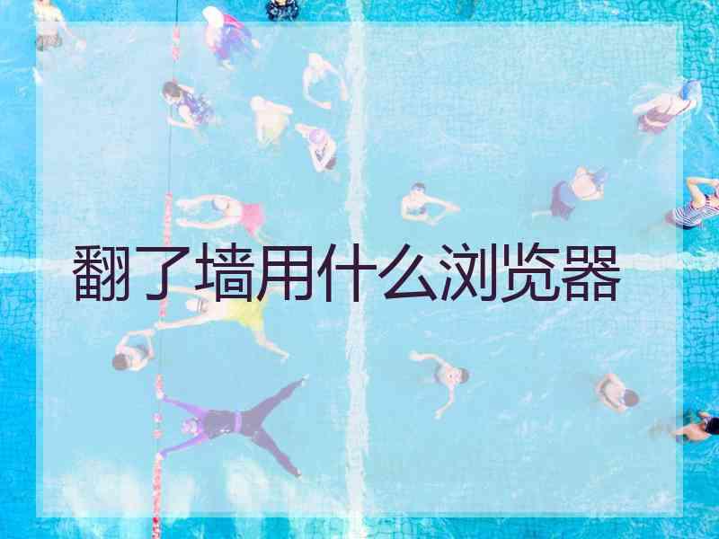 翻了墙用什么浏览器