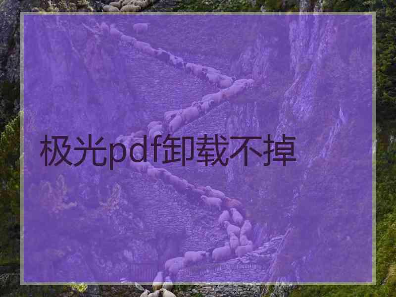 极光pdf卸载不掉
