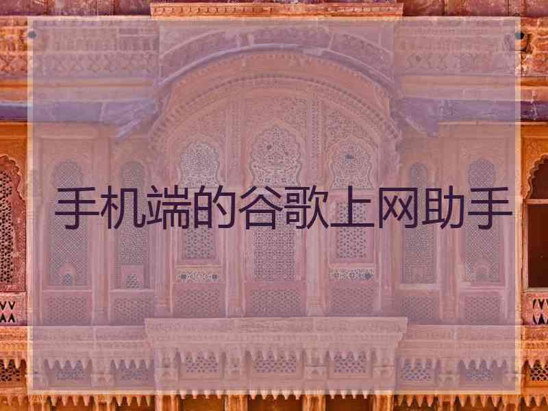 手机端的谷歌上网助手