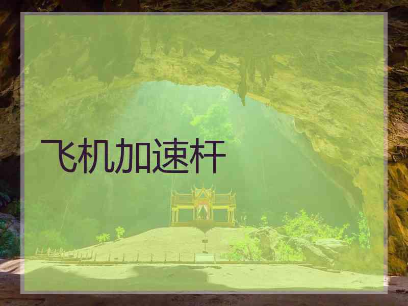 飞机加速杆