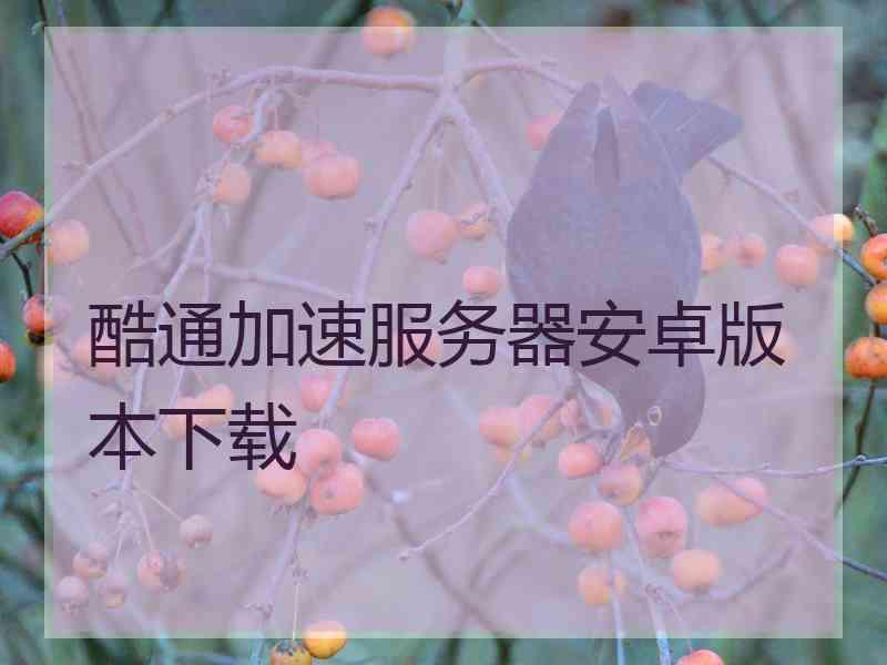 酷通加速服务器安卓版本下载