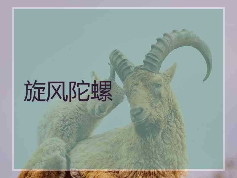 旋风陀螺