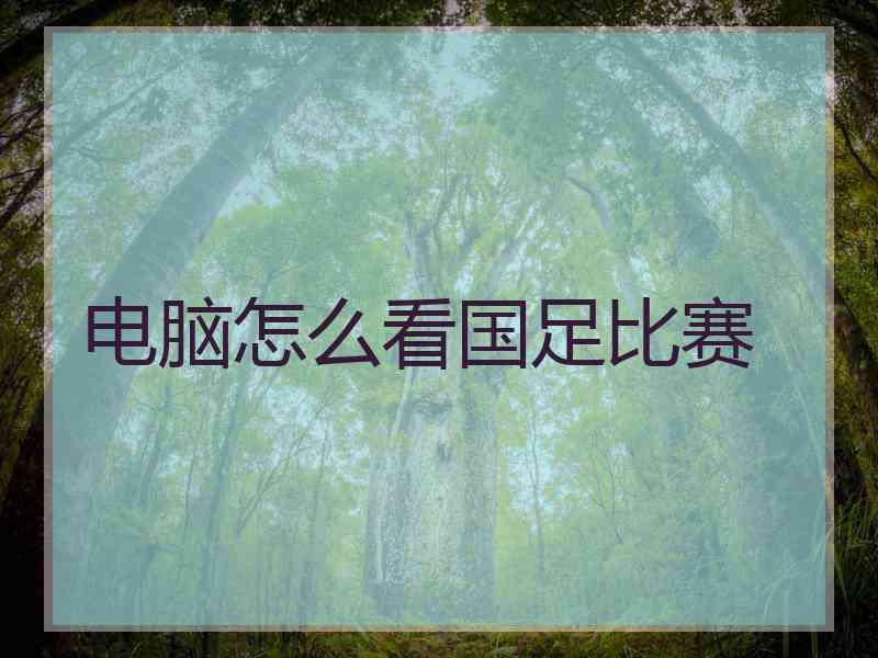 电脑怎么看国足比赛