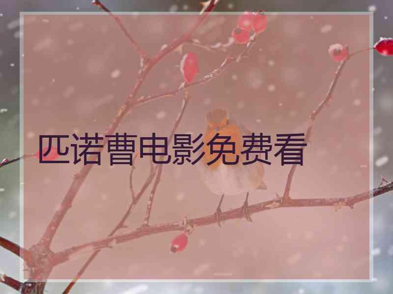 匹诺曹电影免费看