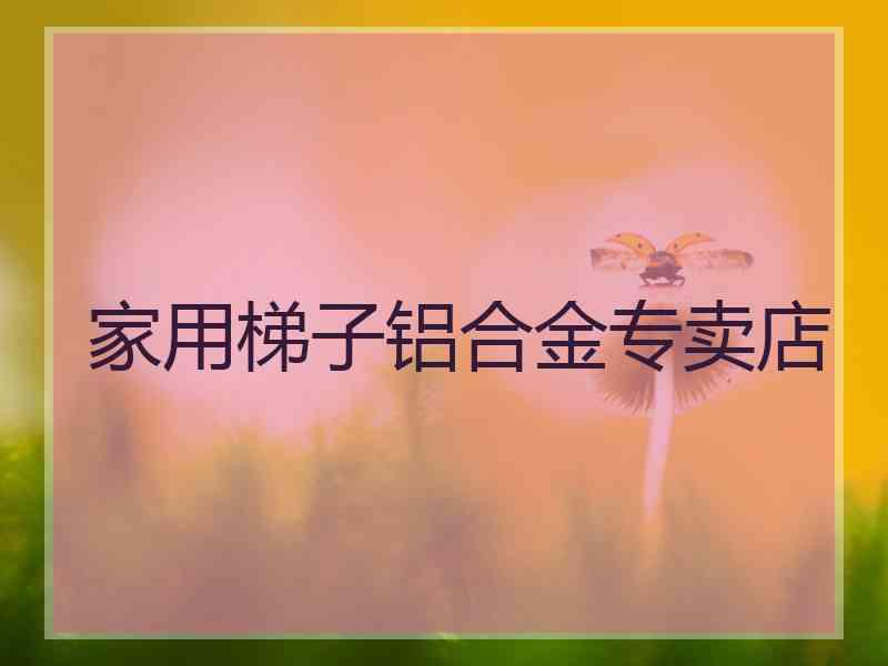 家用梯子铝合金专卖店