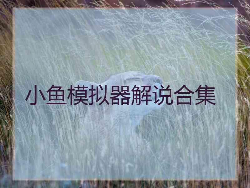 小鱼模拟器解说合集