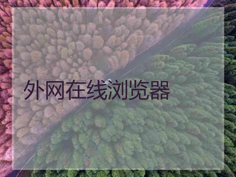 外网在线浏览器