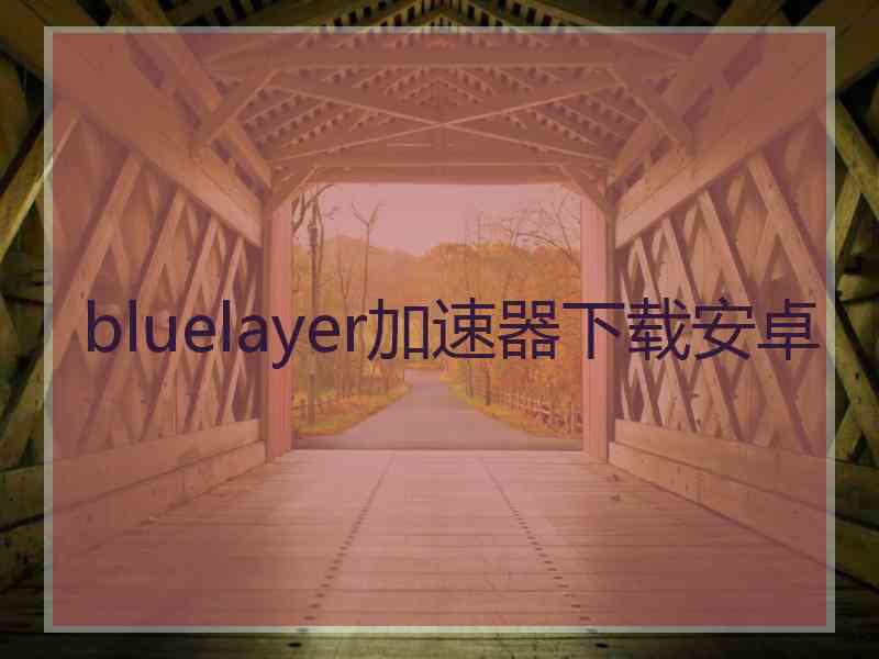 bluelayer加速器下载安卓