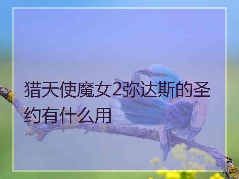 猎天使魔女2弥达斯的圣约有什么用