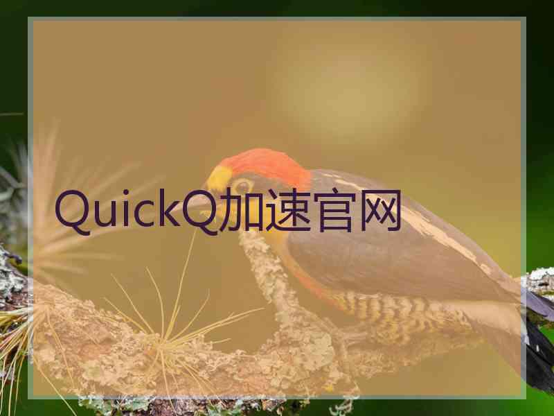 QuickQ加速官网