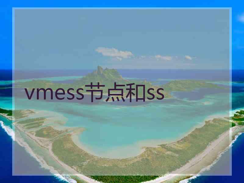 vmess节点和ss