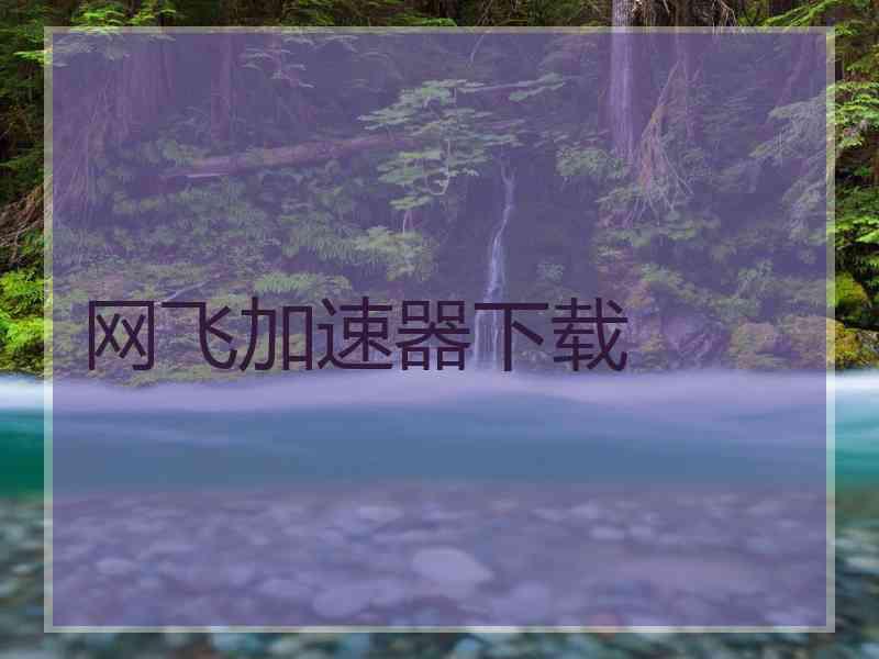 网飞加速器下载