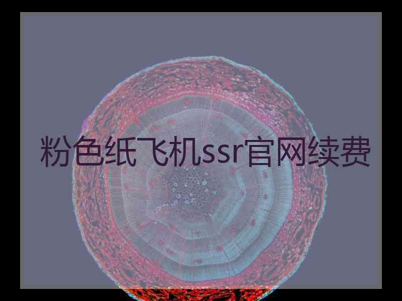 粉色纸飞机ssr官网续费