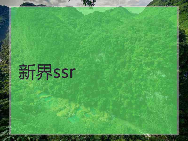 新界ssr