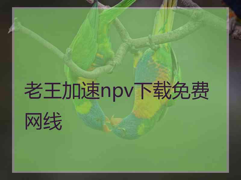 老王加速npv下载免费网线