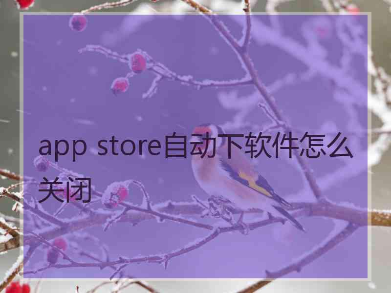 app store自动下软件怎么关闭