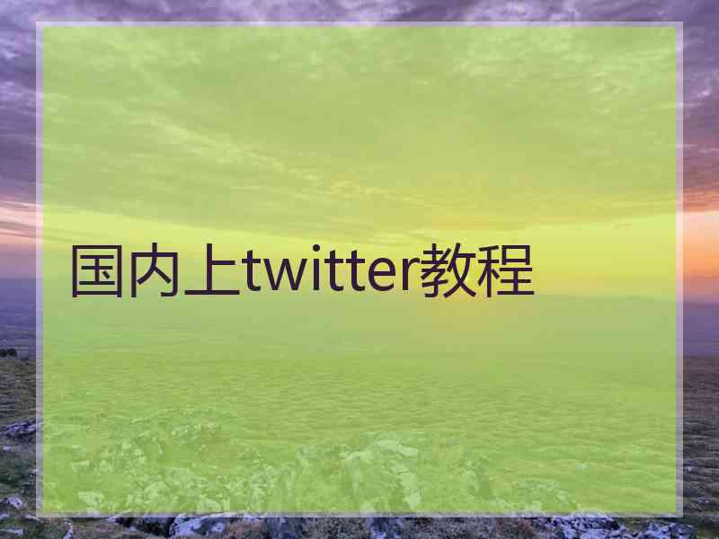 国内上twitter教程