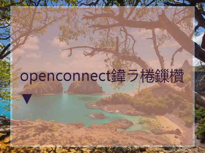 openconnect鍏ラ棬鏁欑▼