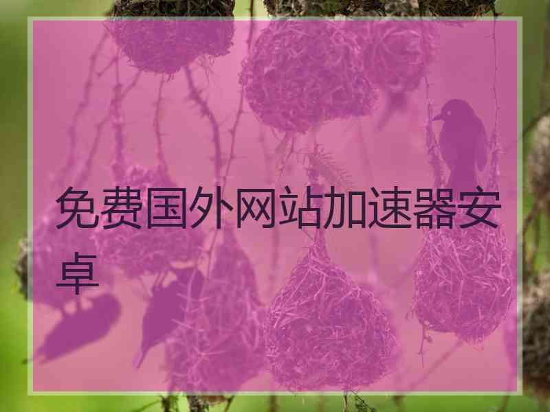 免费国外网站加速器安卓