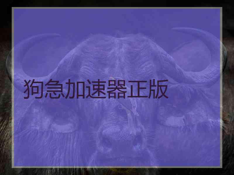 狗急加速器正版