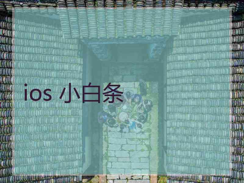 ios 小白条