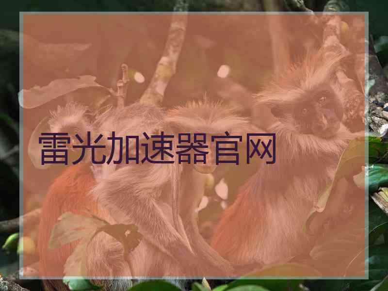 雷光加速器官网