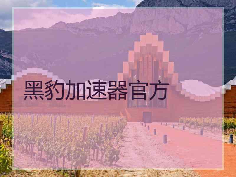黑豹加速器官方