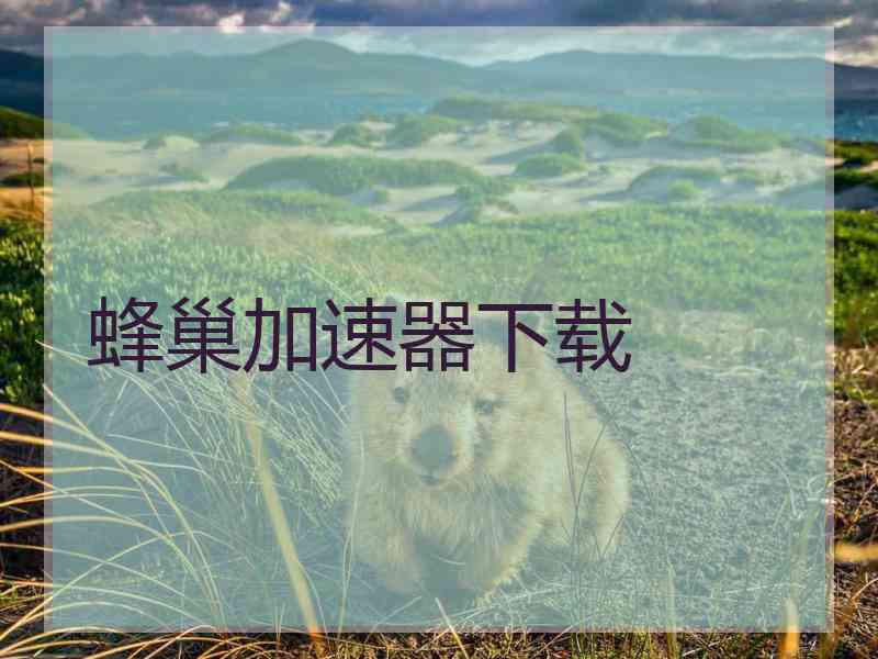 蜂巢加速器下载