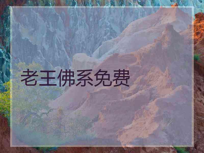 老王佛系免费