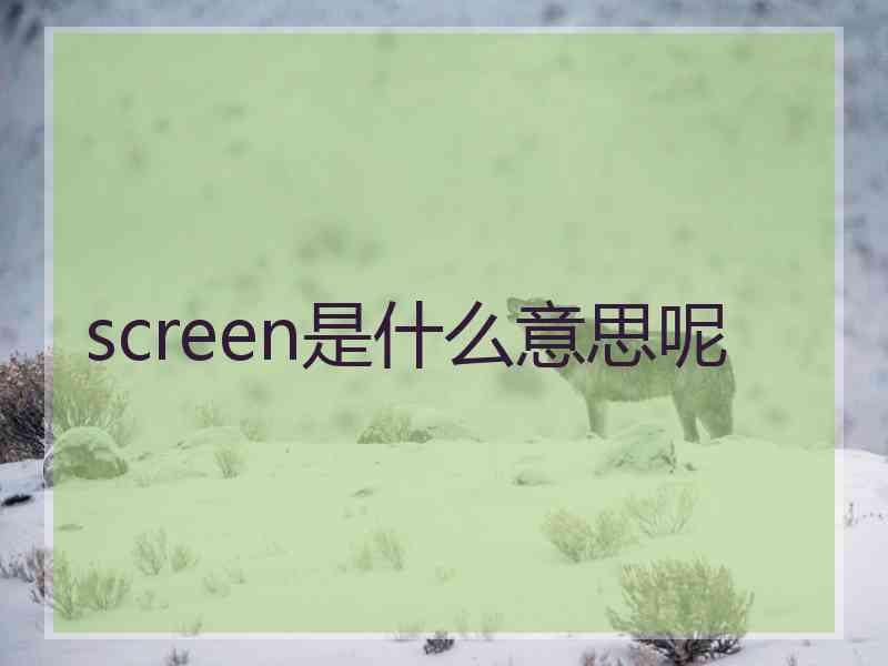 screen是什么意思呢
