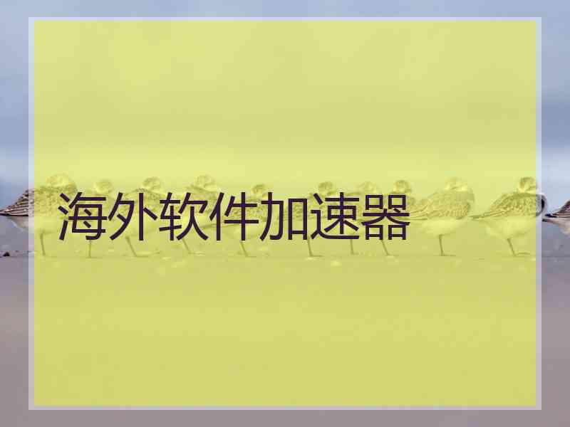 海外软件加速器