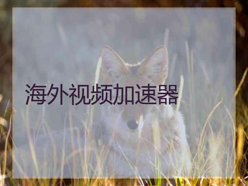 海外视频加速器