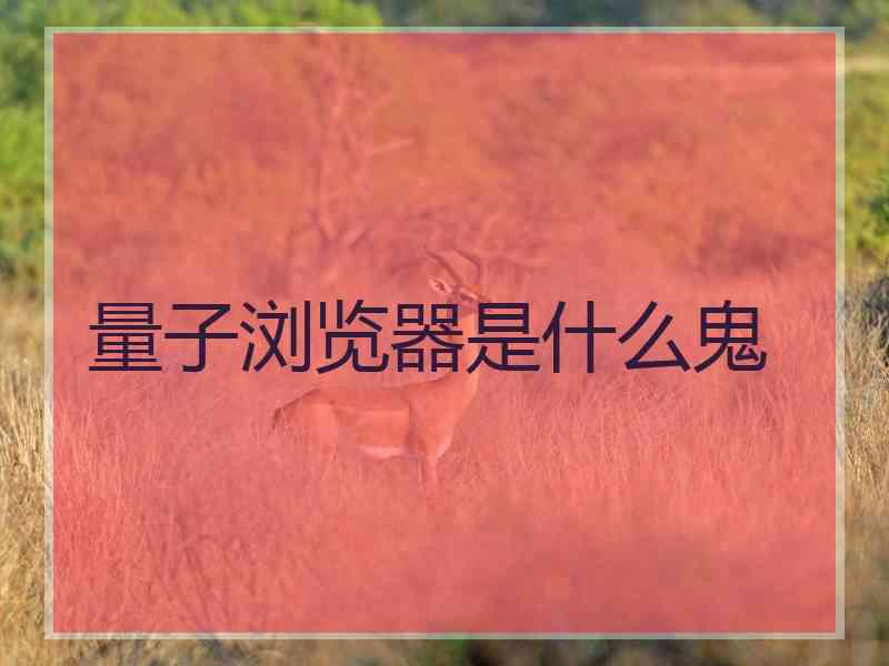 量子浏览器是什么鬼