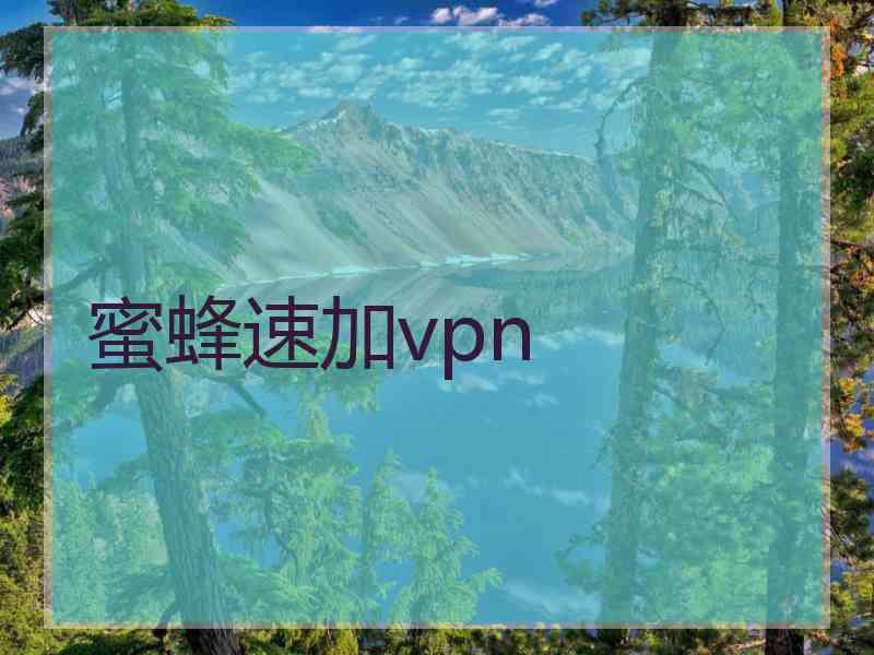 蜜蜂速加vpn