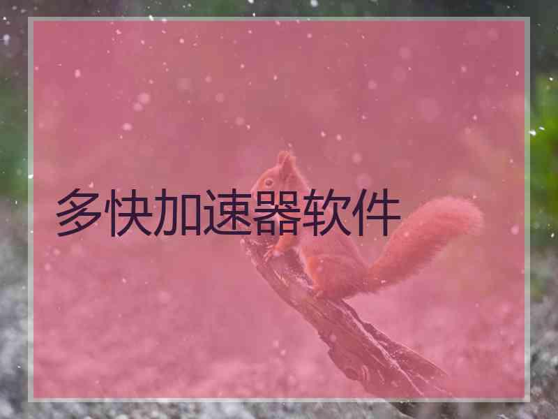 多快加速器软件
