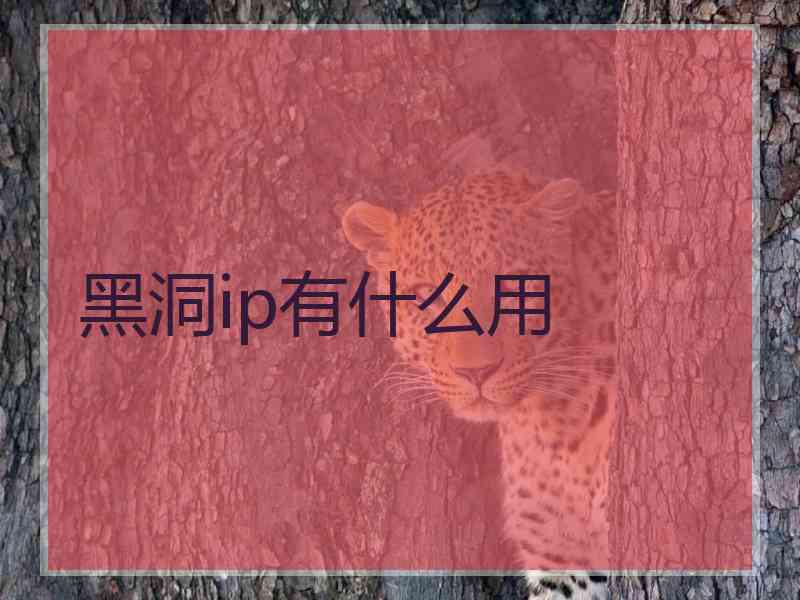 黑洞ip有什么用