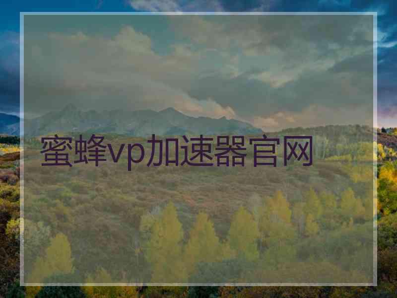 蜜蜂vp加速器官网