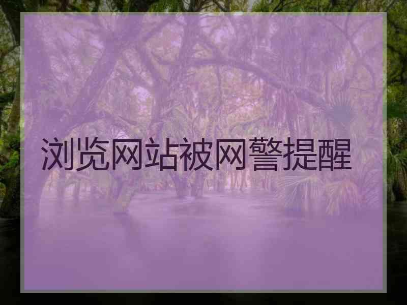 浏览网站被网警提醒