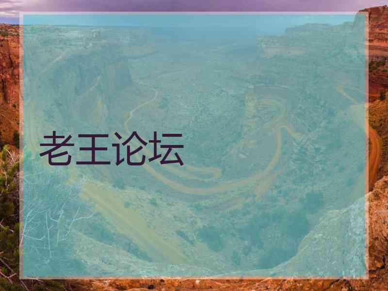 老王论坛