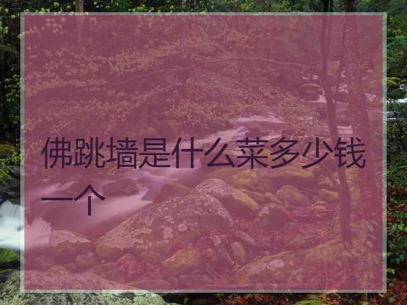 佛跳墙是什么菜多少钱一个