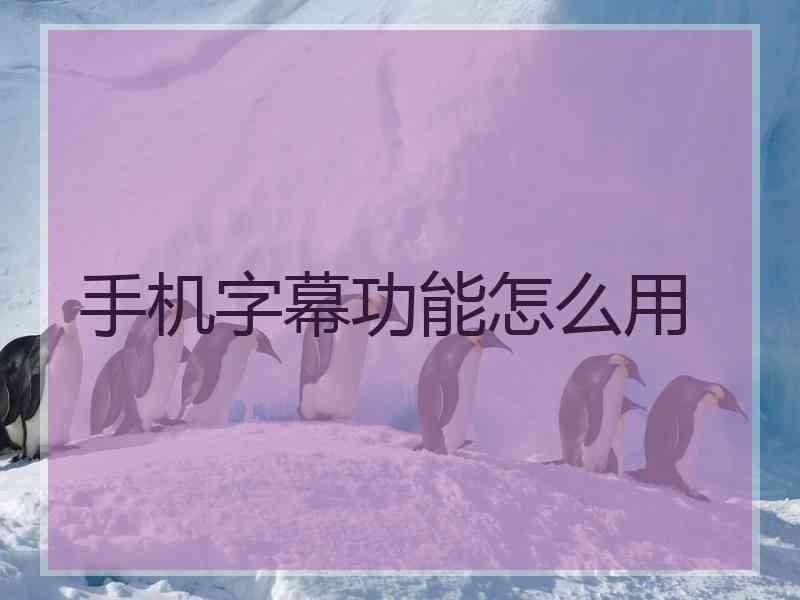 手机字幕功能怎么用