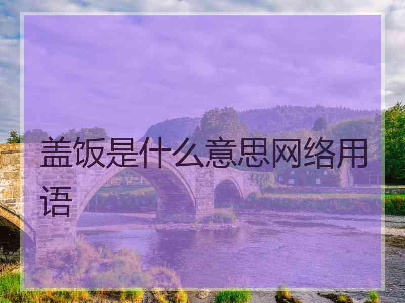 盖饭是什么意思网络用语