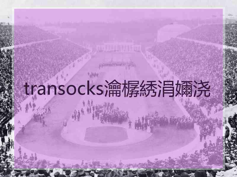 transocks瀹樼綉涓嬭浇