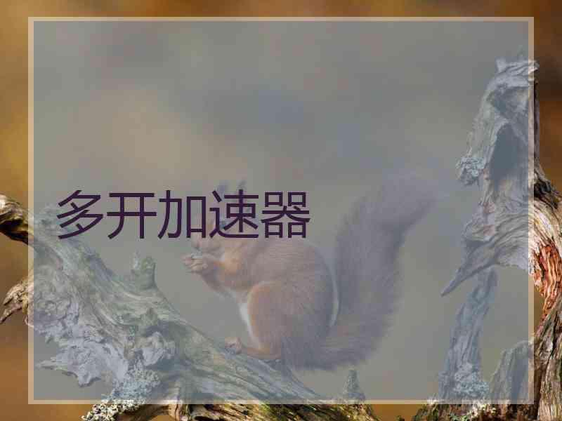 多开加速器