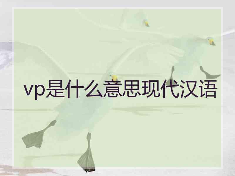 vp是什么意思现代汉语