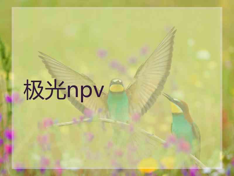 极光npv