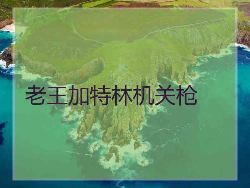 老王加特林机关枪