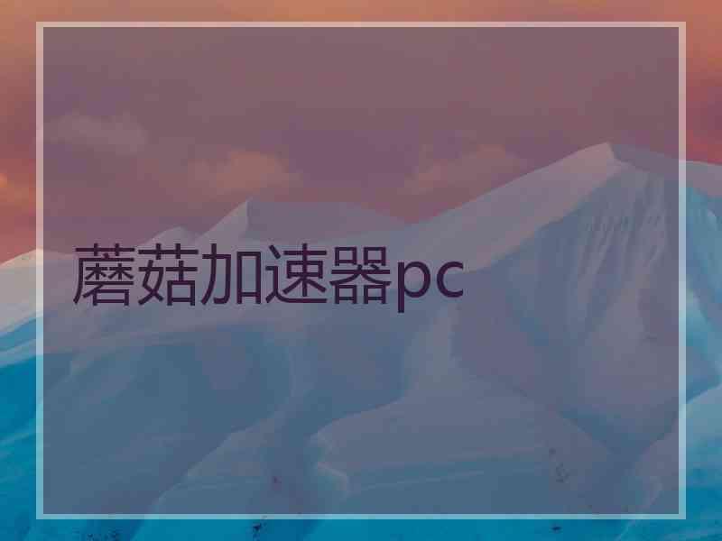 蘑菇加速器pc